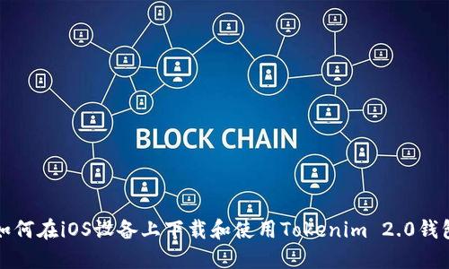 如何在iOS设备上下载和使用Tokenim 2.0钱包
