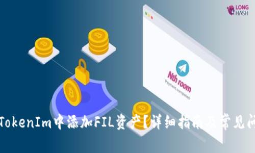 如何在TokenIm中添加FIL资产？详细指南及常见问题解答