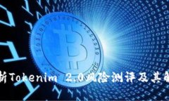 全面解析Tokenim 2.0风险测评及其解决方案