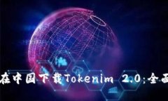 如何在中国下载Tokenim 2.0：全面指南