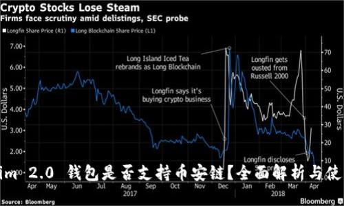 Tokenim 2.0 钱包是否支持币安链？全面解析与使用指南
