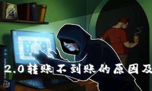 Tokenim 2.0转账不到账的原因及解决方案